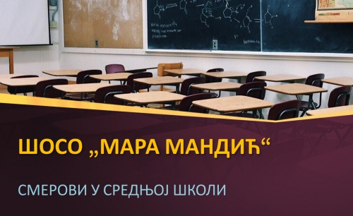 Презентација Школе за основно и средње образовање "Мара Мандић" Панчево