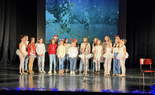 Новогодишњи колажни програм 2025.