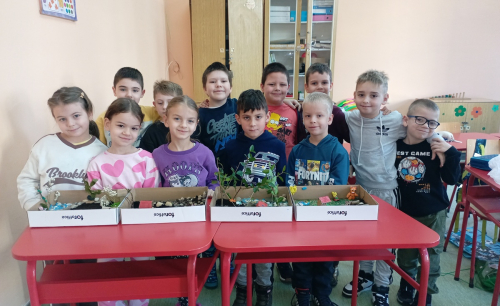 Моја околина - групни рад