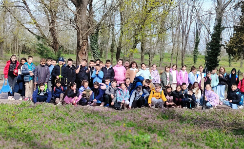 Истражујемо, учимо, повезујемо: Амбијентална настава трећег разреда 