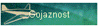Gojaznost