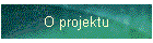 O projektu